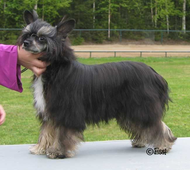 Sun Dan Me Myself And I