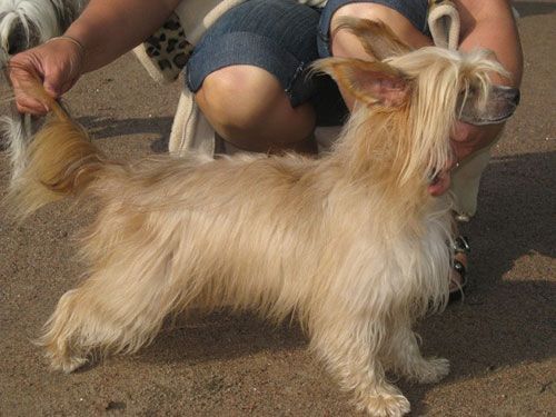 Domtotem Uslada Serdcha