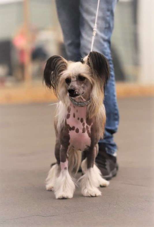 Sirocco Nine Circles Of Hell