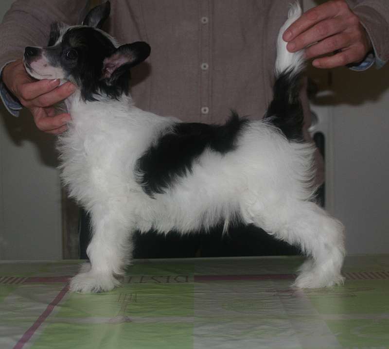 Edcullen's Glade Edcullen