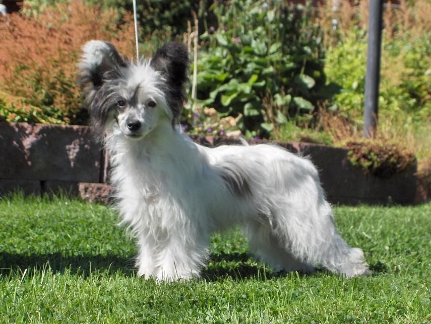 Gumdrop Island Shangri-La