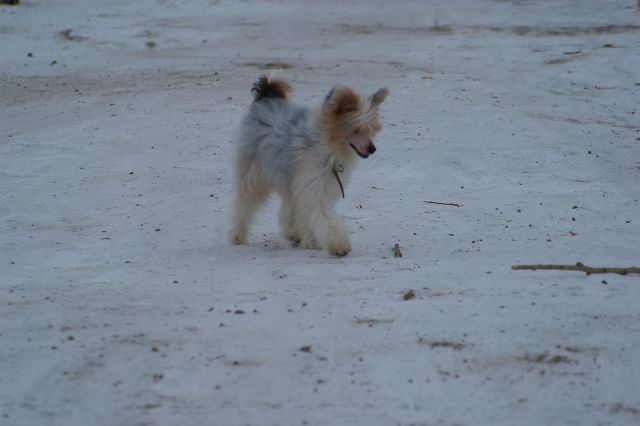 Lifasoria Viel Baskin Robbins