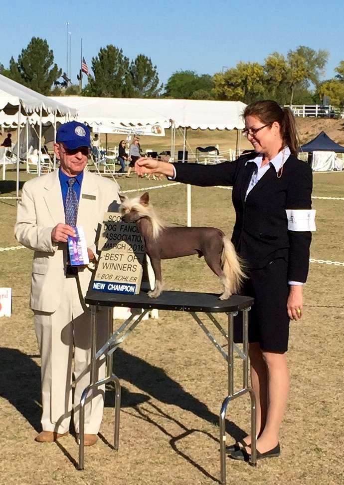 Nina's K Flashback Ziggy Stardast