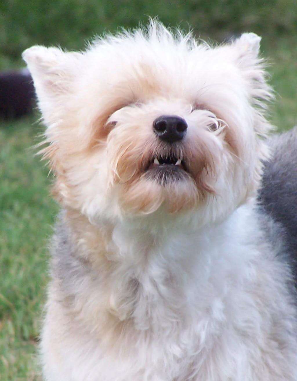 Down the Rabbit Hole