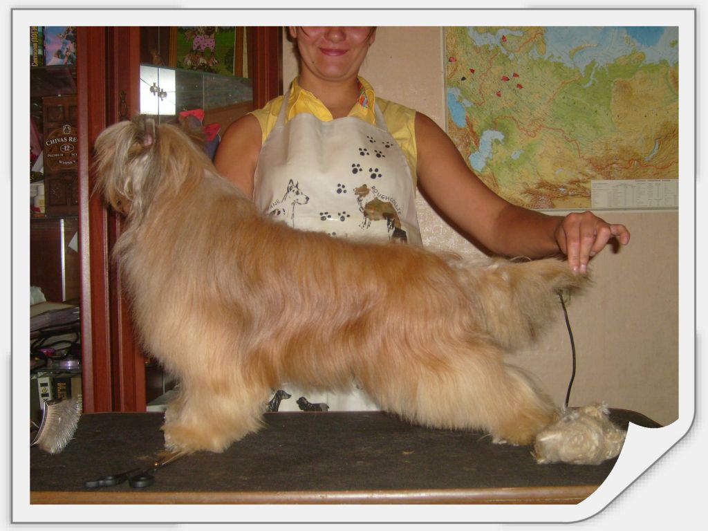 Sasquehanna Dziewierz