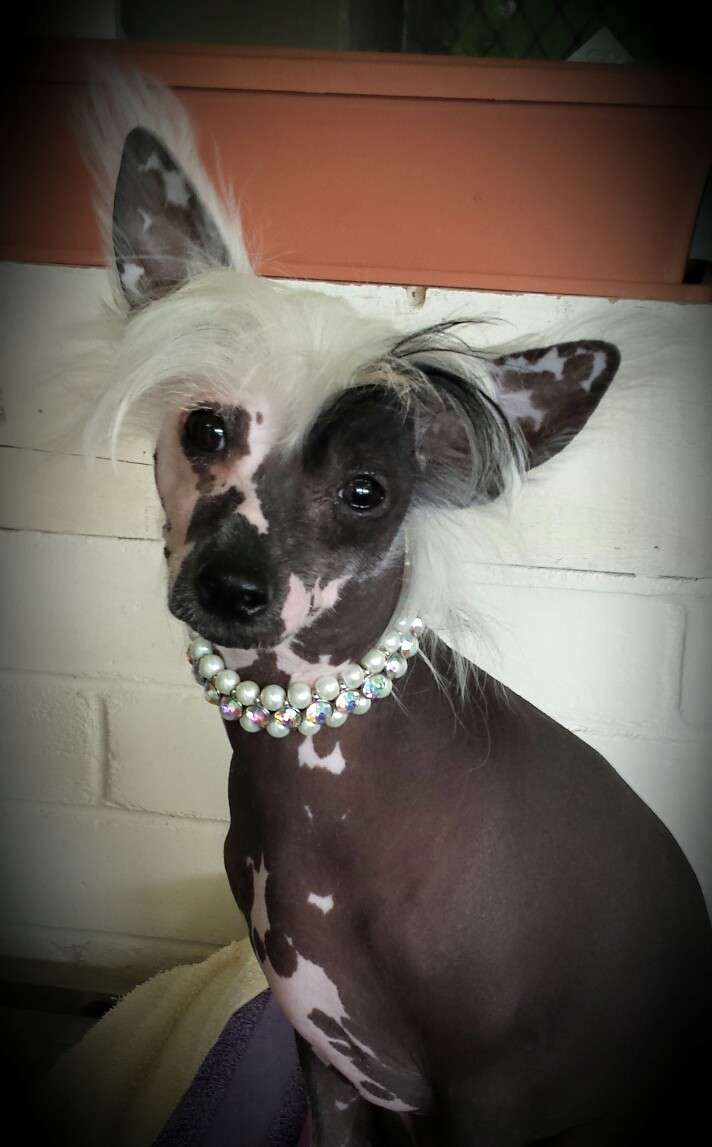 Xioma To The Moon And Back