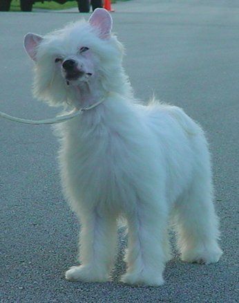 All That N' A Bag Of Chips N'co