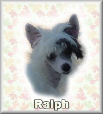 Lohengrin Della Castafiore