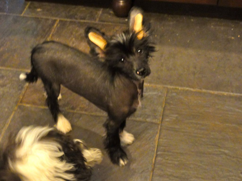 Six Gems A Spotlight on Dallas