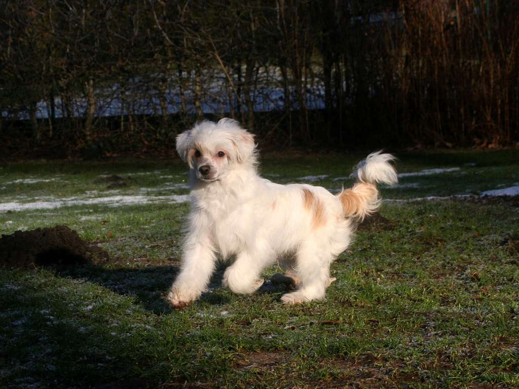 Edcullen's Glade  Fred Fannakapan