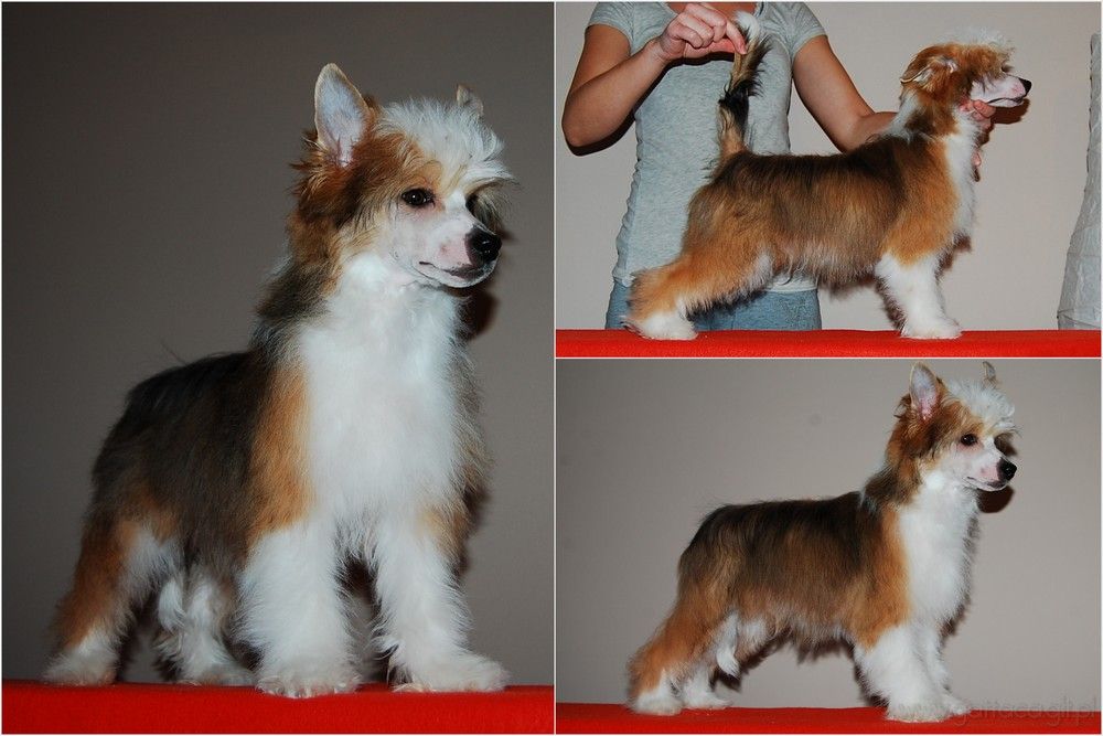 Issey Miyake Gattaca