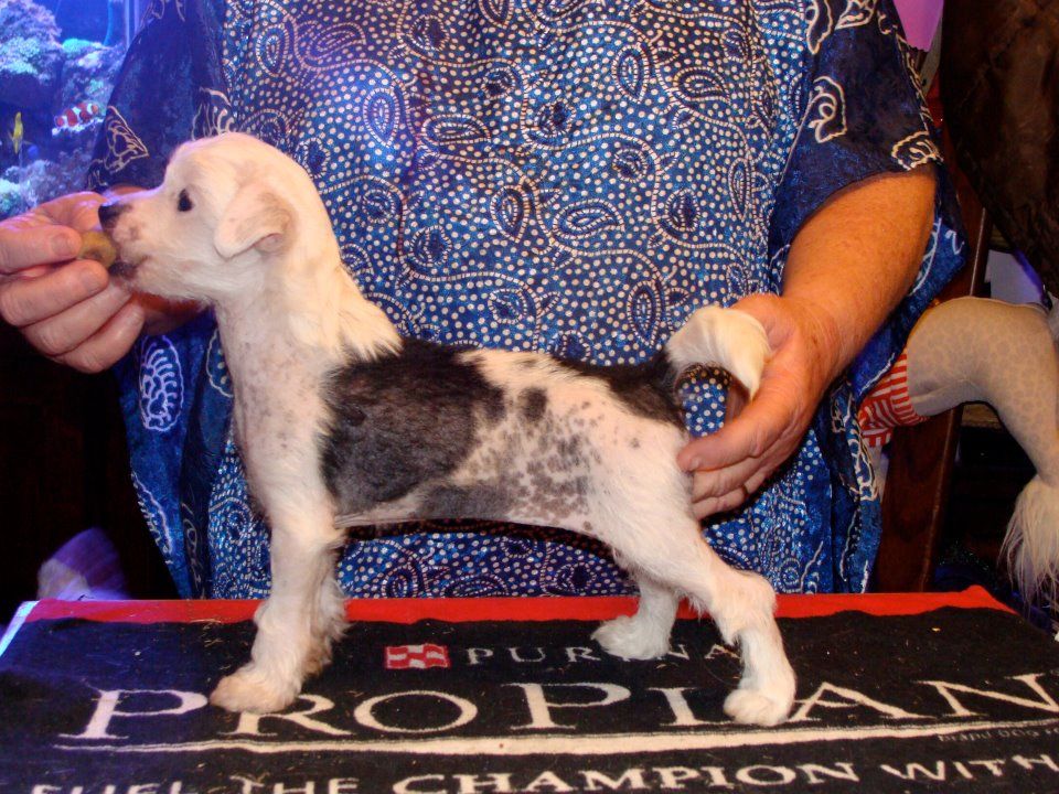 Hi-Life's Siriusly Designed For Destiny