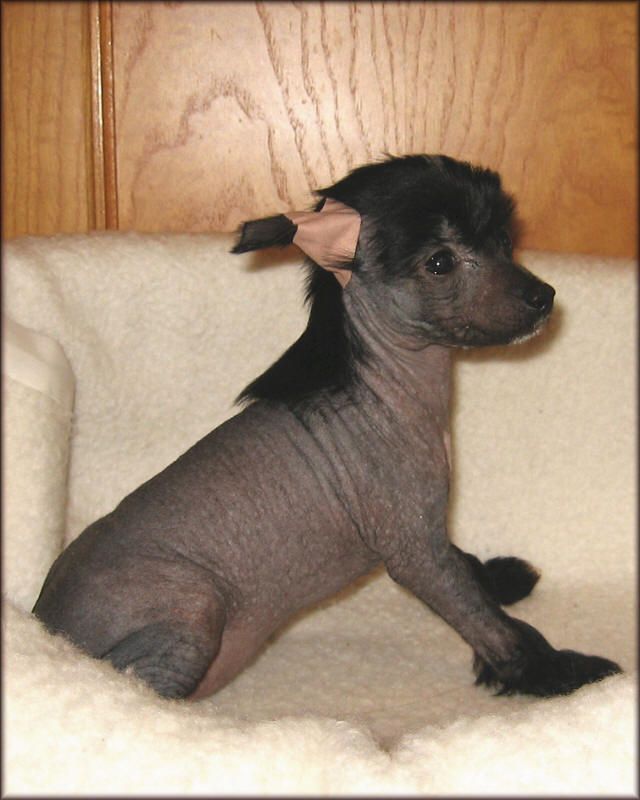 Jessica Kalis z Treste