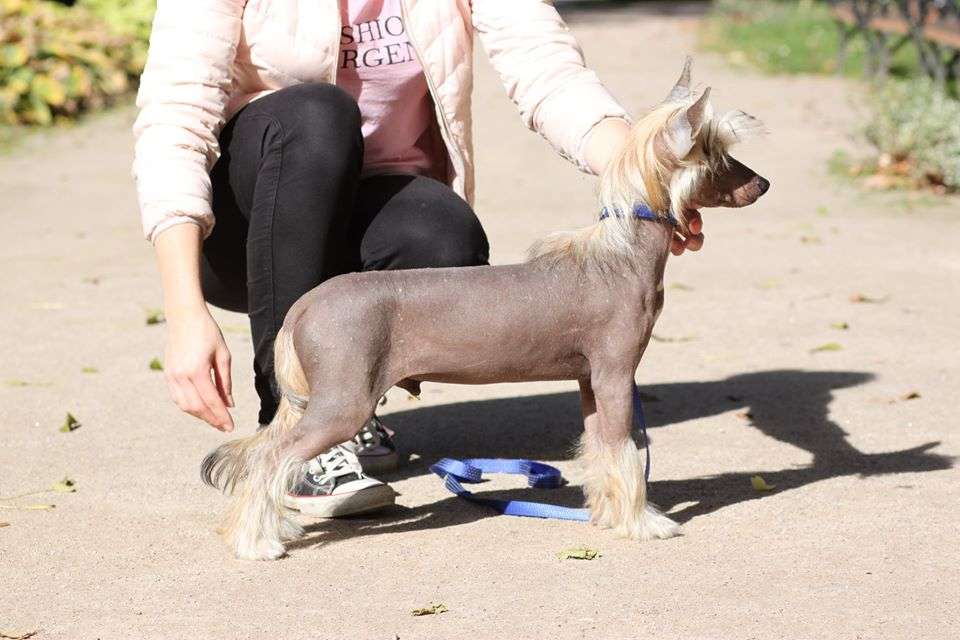 Humorzasty Jak To Facet Pretensja