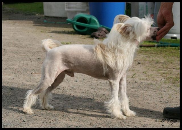 Sun-Hee's Look Sharp