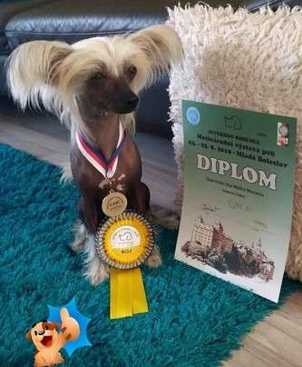 Charlotte Sue Milfra-Moravia