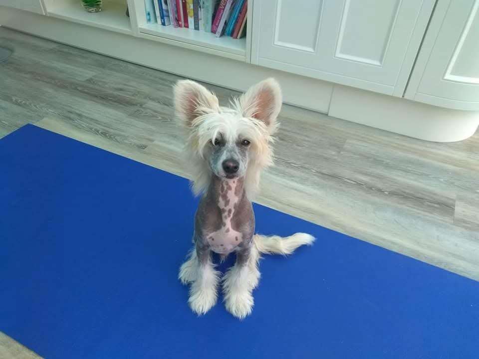 Rawspirit Loose Control