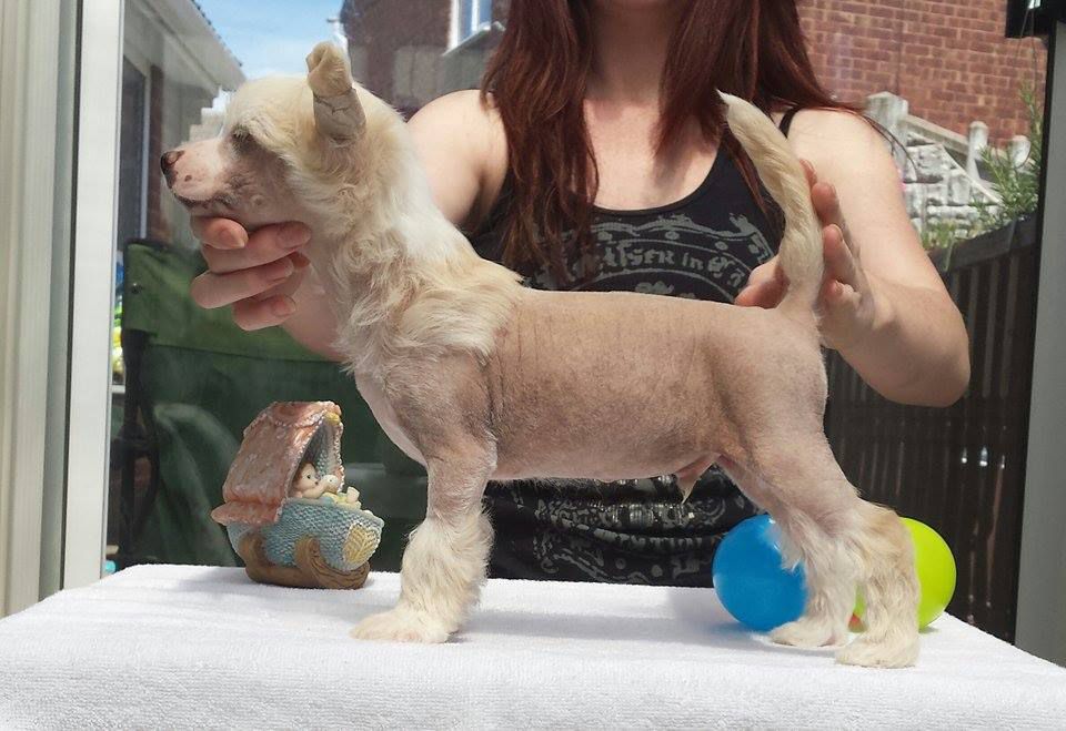 Pariansoez Prairie Fire