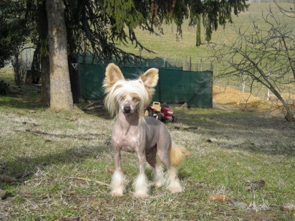 Revolution of Beauty Legend