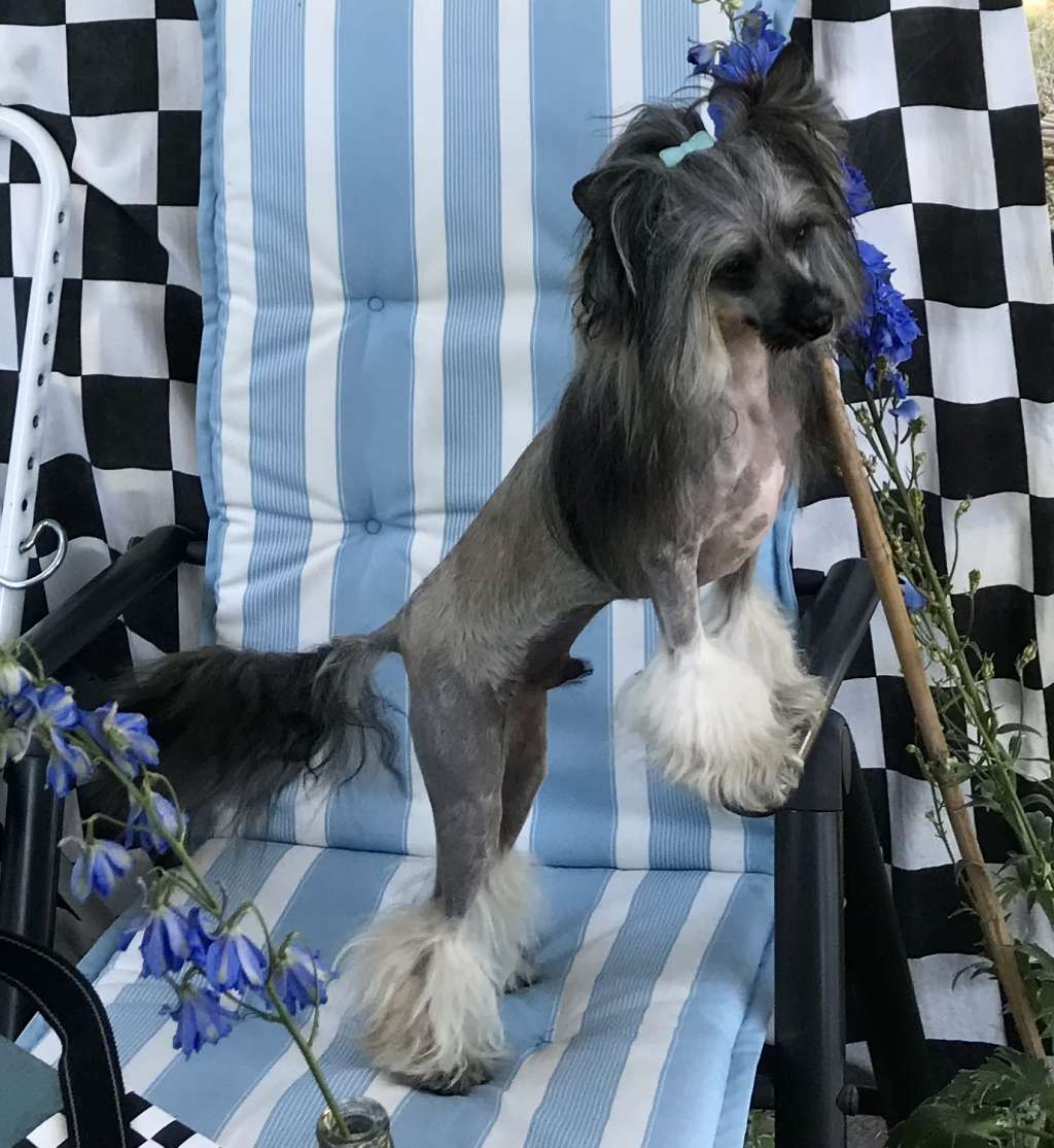 Luigi vom Eifeldiamant