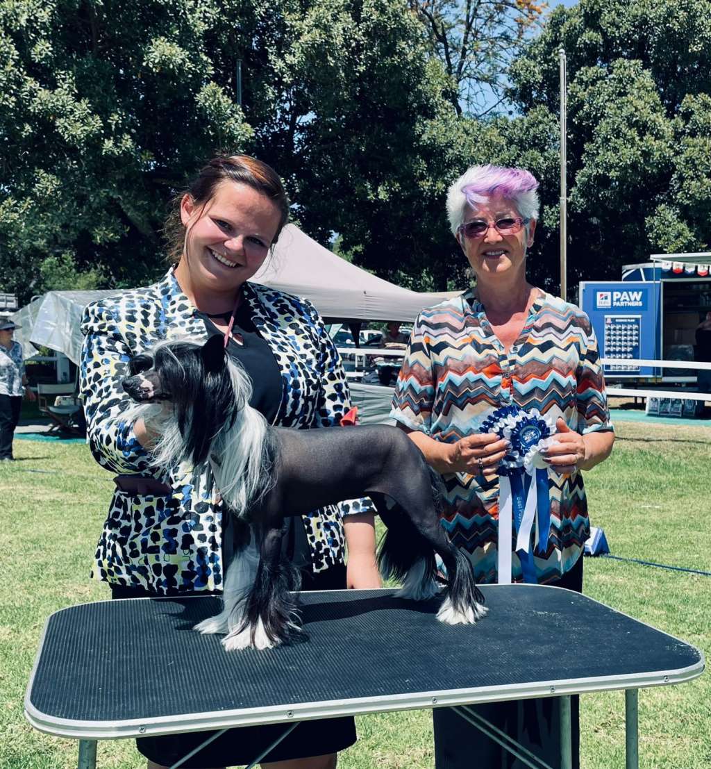 Krescendo Just a Pretty Woman