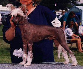 Sunberry's Rubix Cube