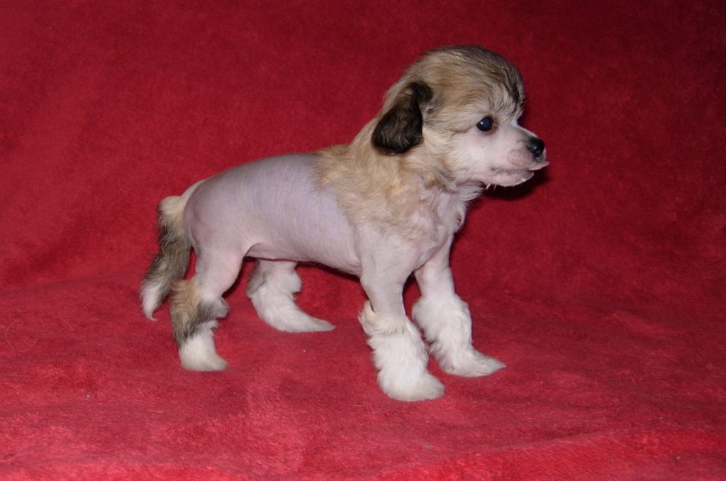 Dempsi Juta just beauty