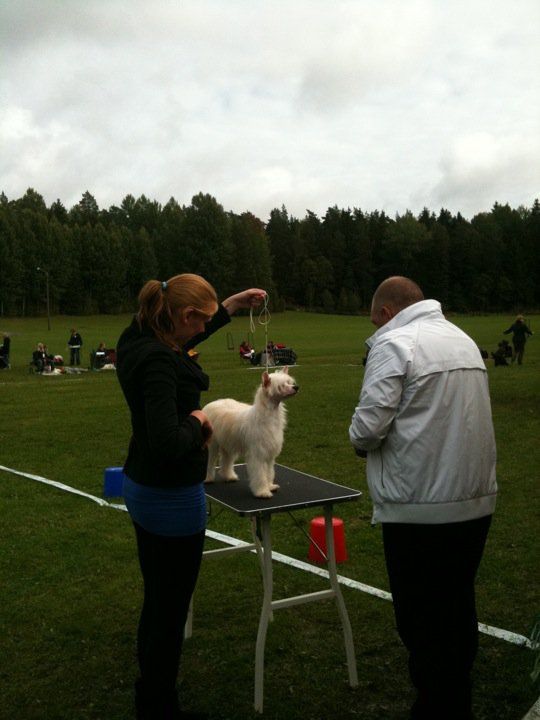 Jean Dark Fields of Gold