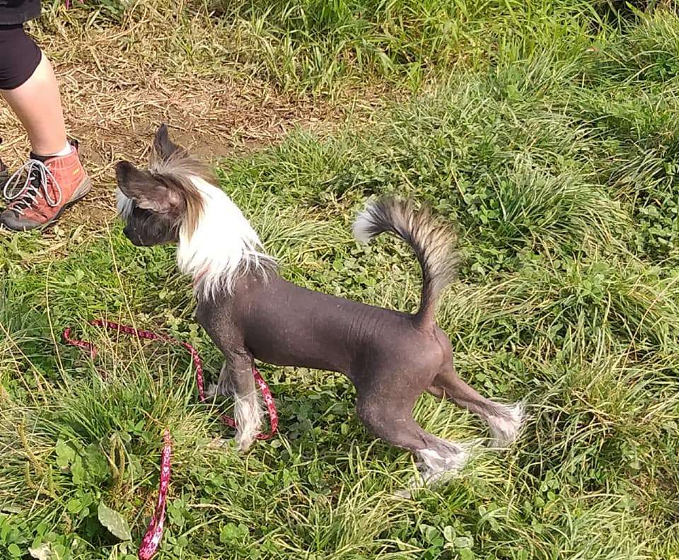 Kiss Me Smarty Avokaduh