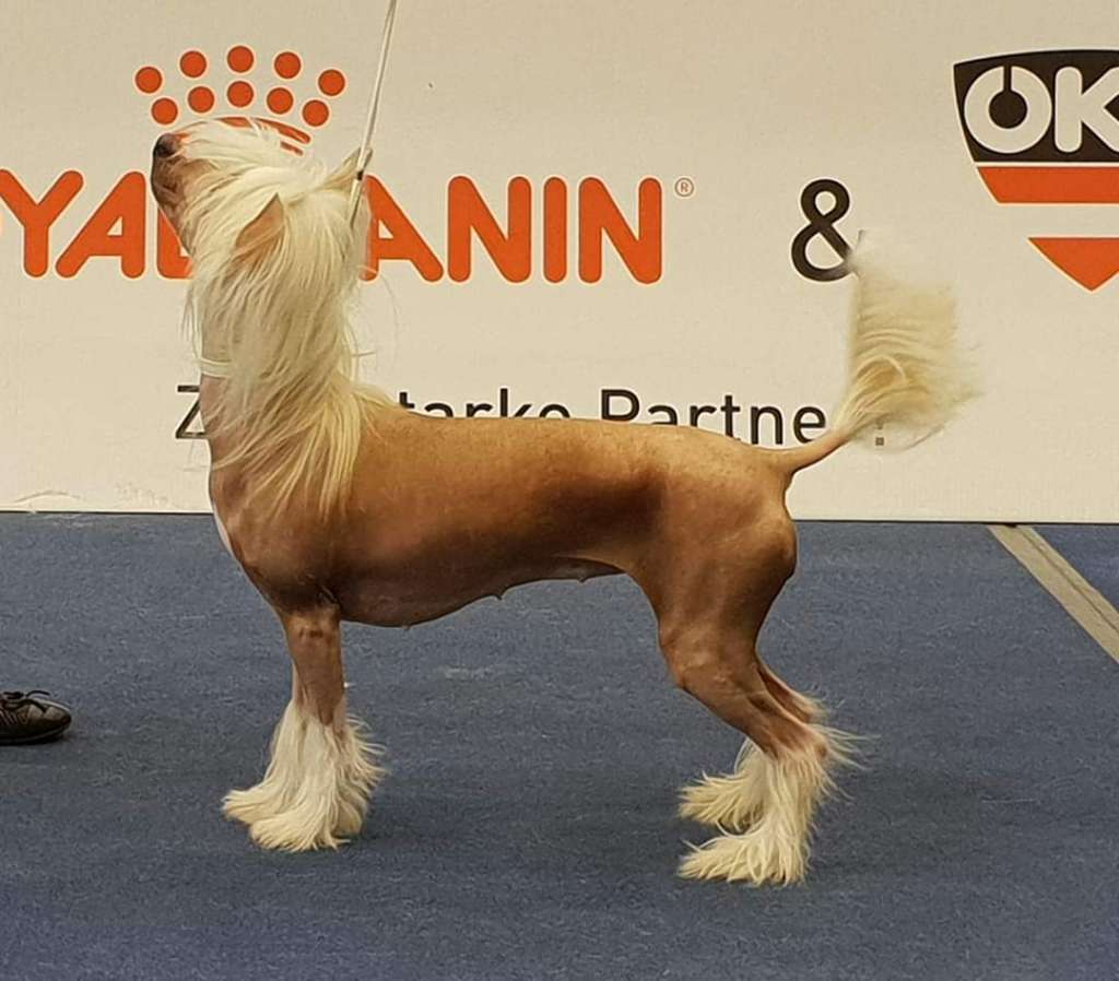 Forseti's Lusty Lisa