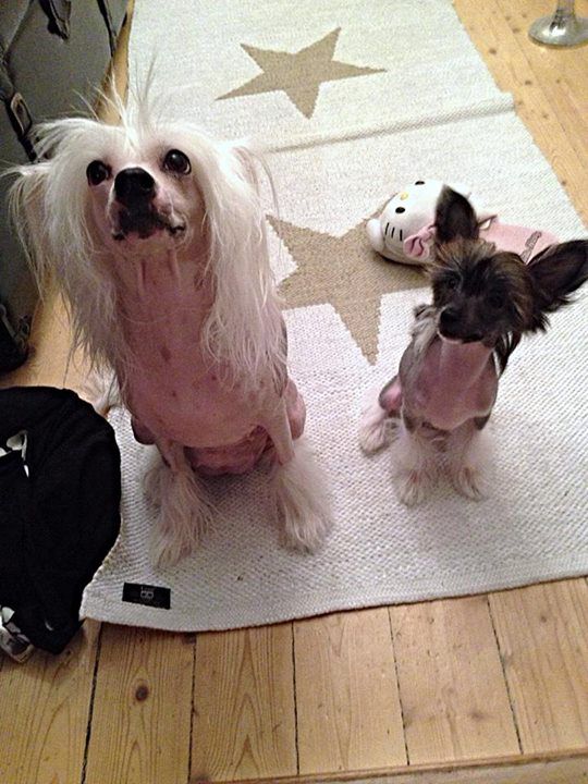 De La Mahafu's Evita