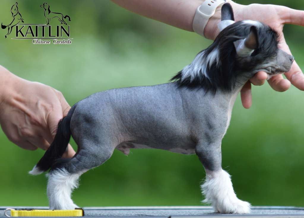 Kaitlin Cool Winning Man