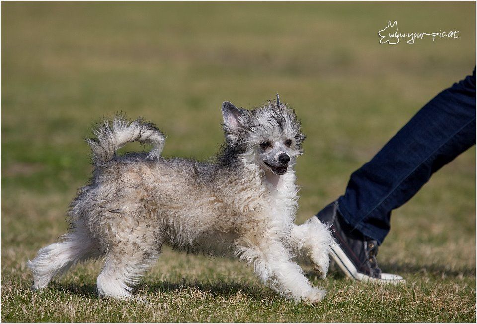 California Dreaming Quickly in Love