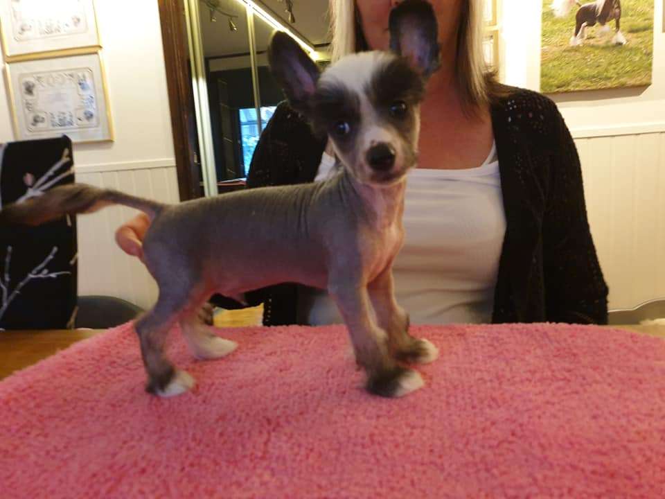 Ridgecrest's Like A Million Dollar