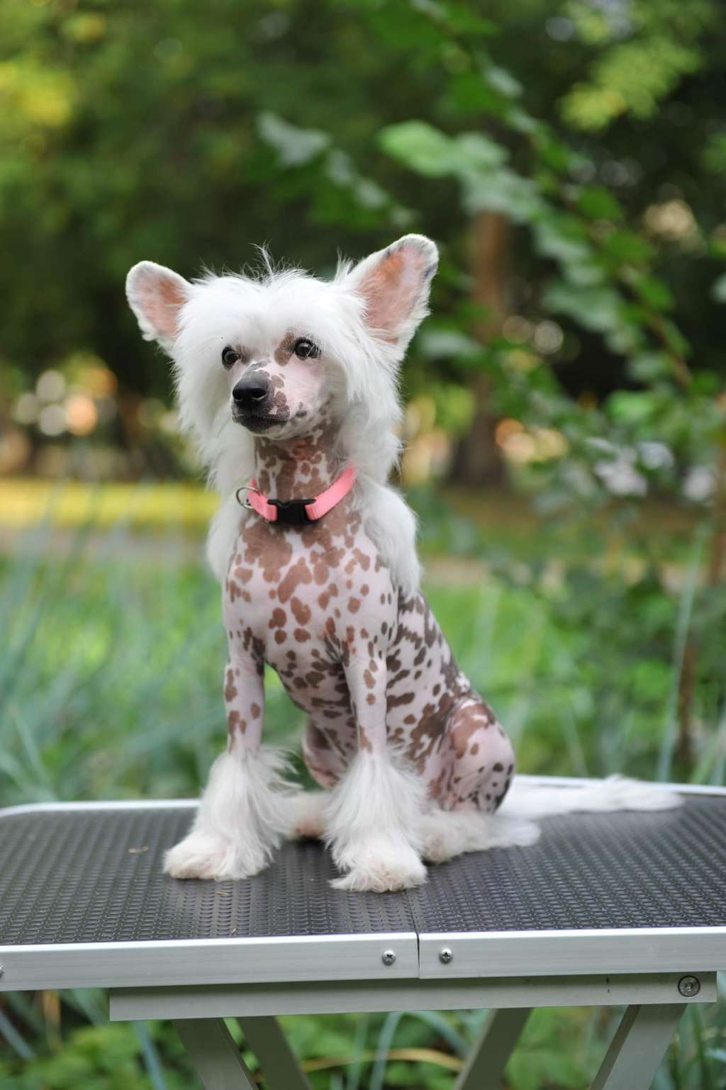 Kranar Never Loose Your Hope