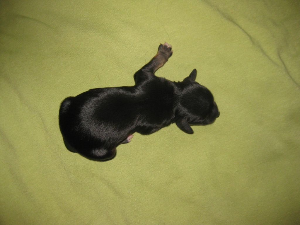 Picture