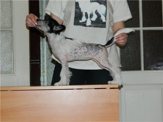Picture
