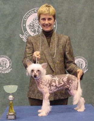 CH. Woodlyn Le Nozze Di Figaro