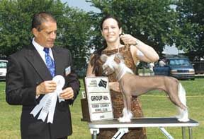 Crestars Muzik In Motion