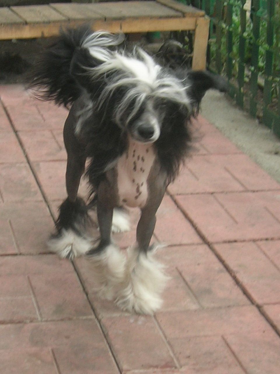 Rovanni Djekattolo  Yrik Krezi