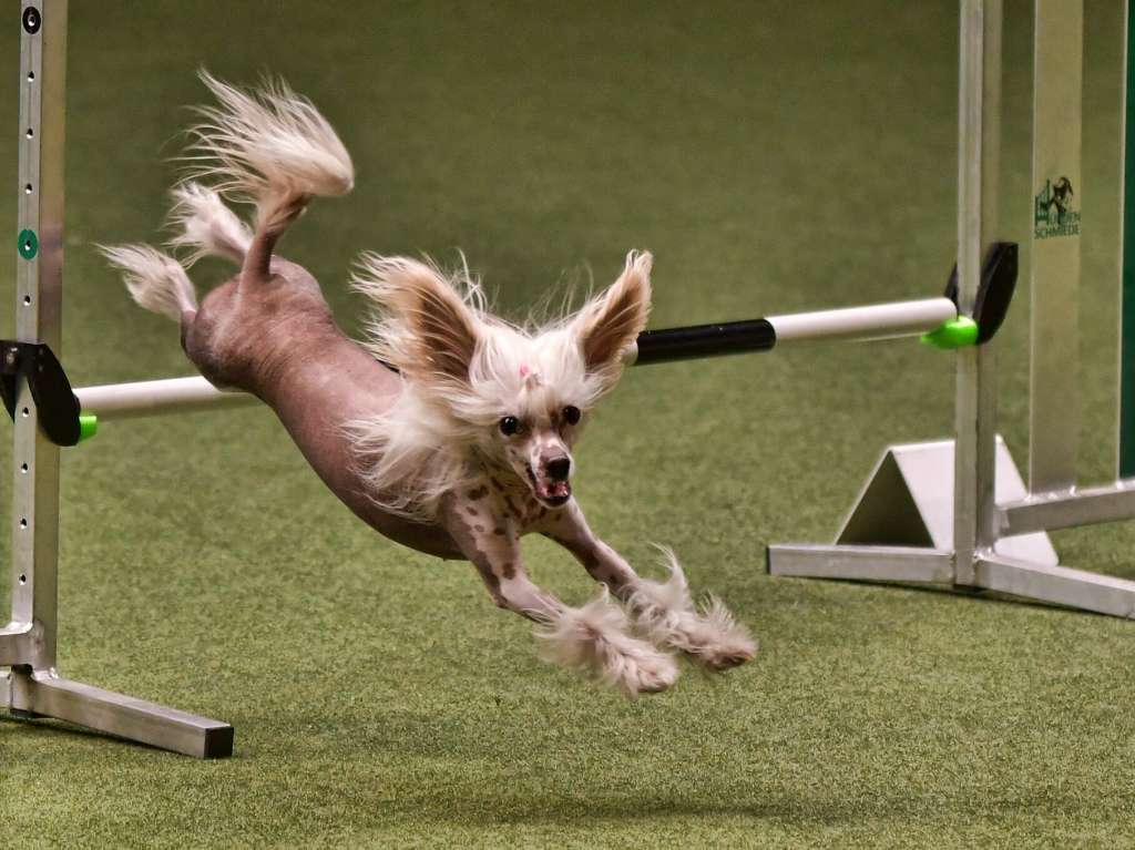 Sol'tanto Kiss Of Life