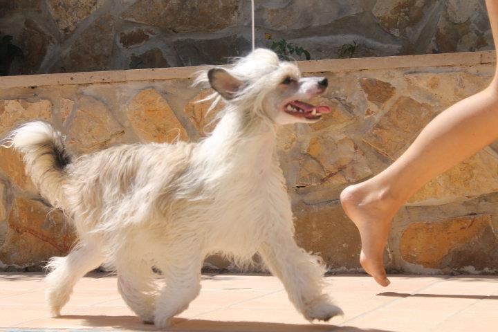 Ridgecrest's Say Woosah