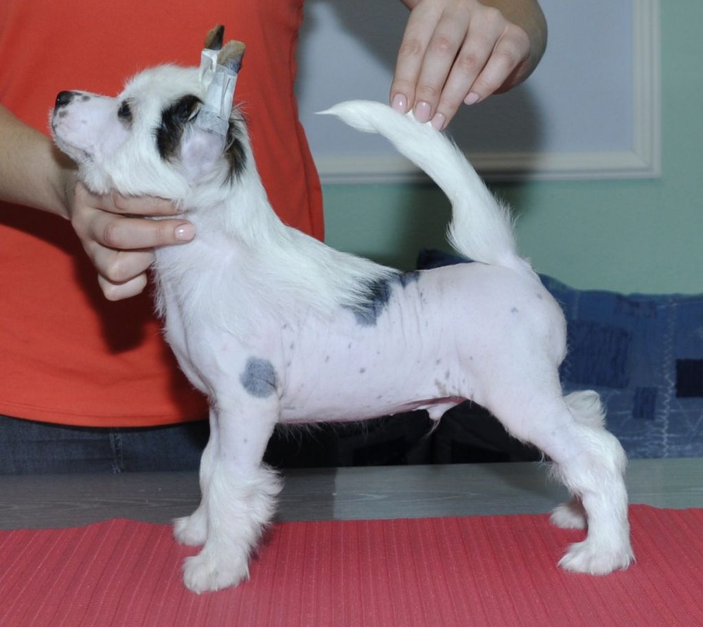 Helen Hope 's Bendzhamin