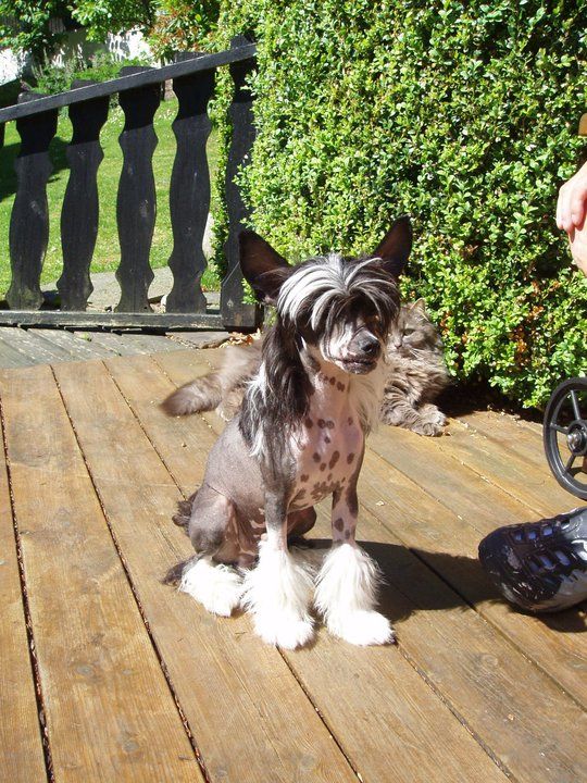 Absolute Souls Breaking Dawn