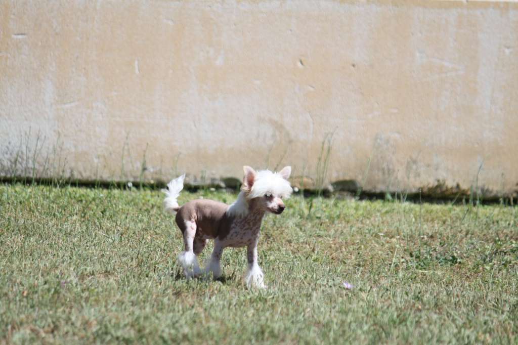 Moon Harbour Naturally Radiant