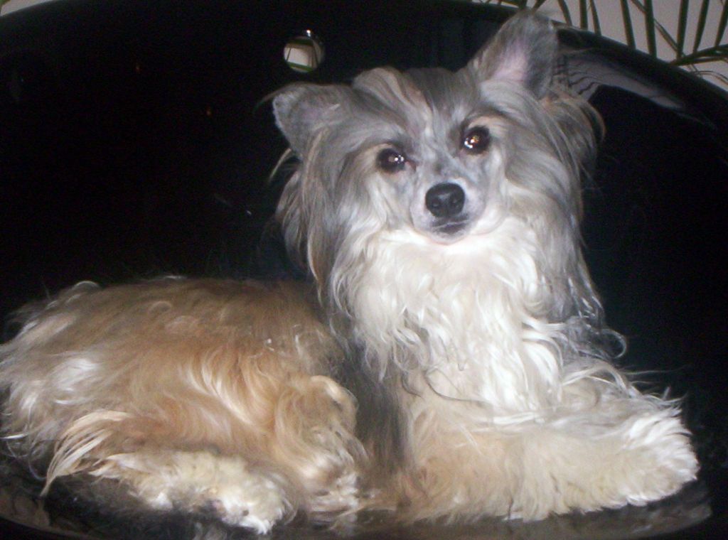 Anthony z Andelovy dlane