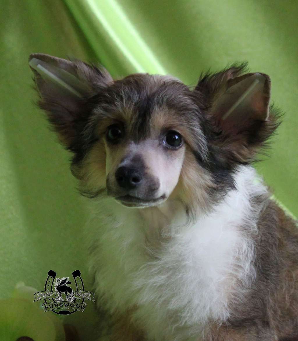 Derek Ethan Furswood