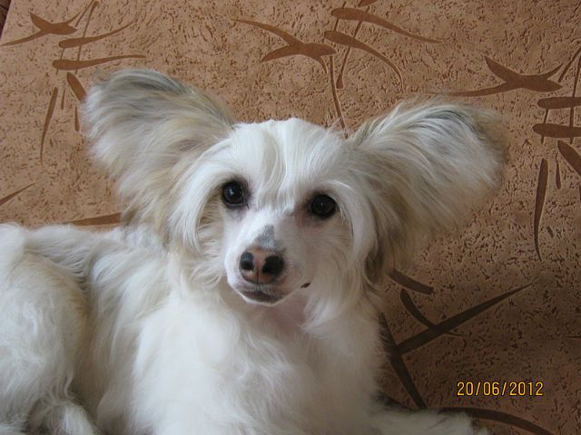 Picture