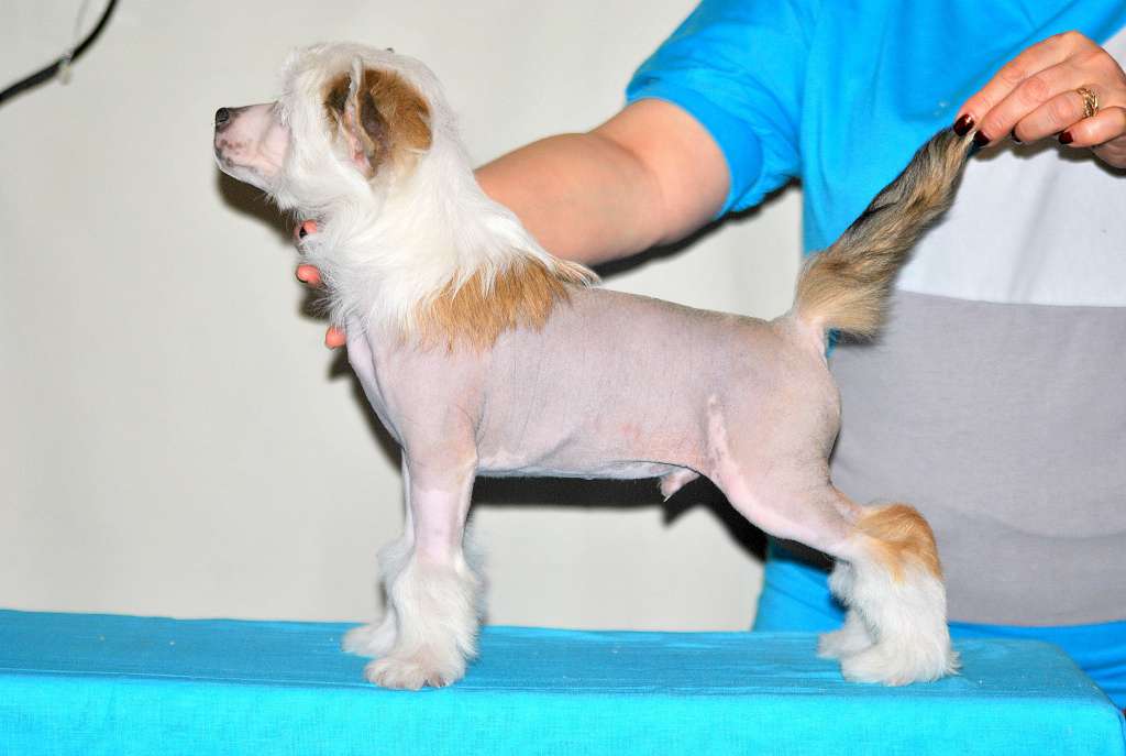 Grand Sunlife  Afric Simone