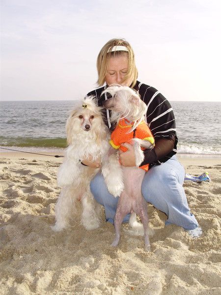 Big Orange Boom de Fageiro